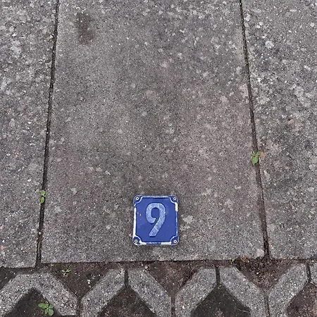 Hase 9 *
